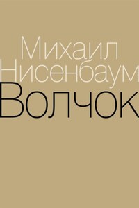 Волчок