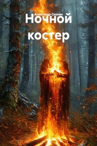 Ночной костер