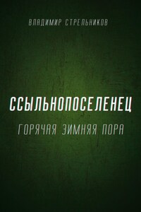 Ссыльнопоселенец. Горячая зимняя пора