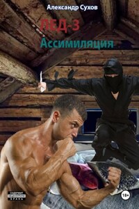 Лед 3. Ассимиляция