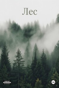 Лес. Фаза 1 "Обогащенная вода".