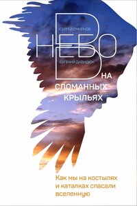 В небо на сломанных крыльях. Как мы на костылях и каталках спасали Вселенную