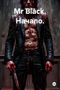 Mr Black. Начало.