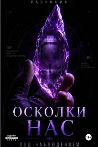 Осколки нас. Под наблюдением. Том 1