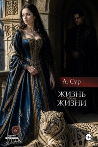 Жизнь после жизни