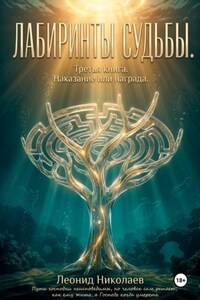 Лабиринты судьбы. Третья книга. Наказание или награда.