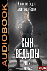 Сын ведьмы. Книга 2. Ронин