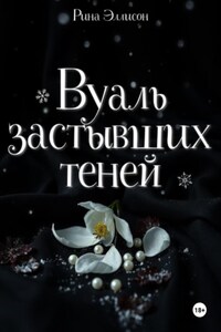 Вуаль застывших теней