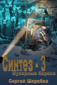 Синтез – 3 (Мусорные Короли)
