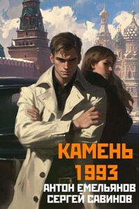 Камень 1993. Книга 1