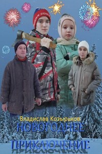 Новогоднее приключение