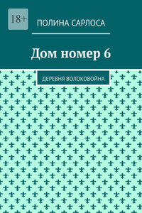 Дом номер 6. Деревня Волоковойна