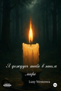 Я дождусь тебя в этом мире
