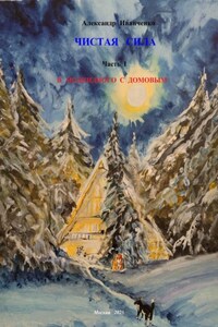 Чистая сила. Часть I: В подкидного с домовым