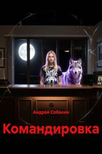 Командировка