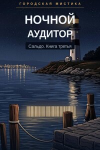 Ночной аудитор. Сальдо. Книга третья
