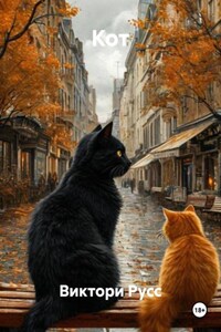Кот