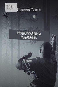 Новогодний мальчик. Роман