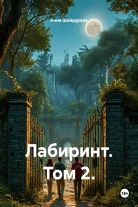 Лабиринт. Том 2.