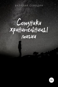 Союзники хранительницы магии