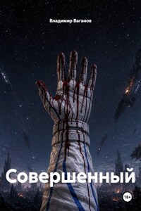 Совершенный