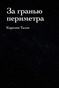 За гранью периметра