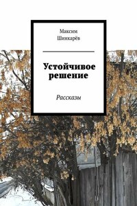 Устойчивое решение. Рассказы