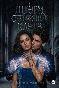 Шторм серебряных клятв