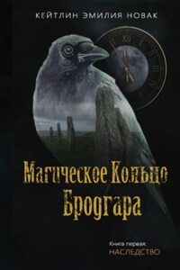 Магическое кольцо Бродгара «Наследство». Книга 1