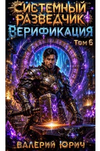 Системный разведчик. Верификация. Том 6