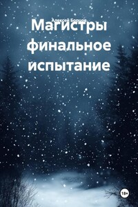 Магистры финальное испытание