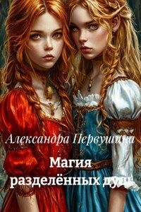 Магия разделённых душ