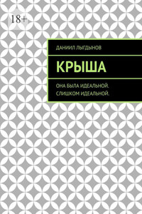 Крыша. Она была идеальной. Слишком идеальной