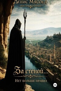 За стеной... Нет больше правил