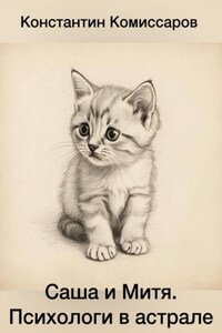 Саша и Митя. Психологи в астрале