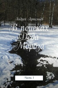 В поисках Деда Мороза. Часть 1