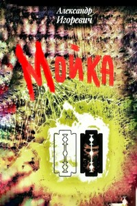 Мойка