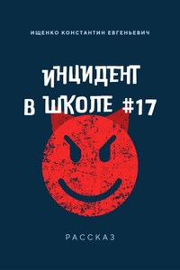 Инцидент в Школе 17