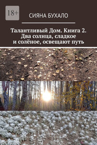Талантливый Дом. Книга 2. Два солнца, сладкое и солёное, освещают путь