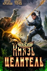 Князь Целитель 2