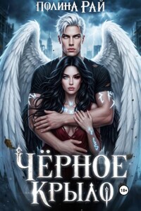Чёрное крыло