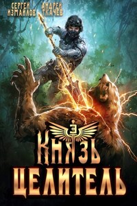Князь Целитель 3