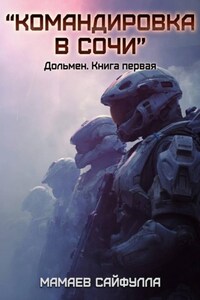 Командировка в Сочи. Дольмен. Книга первая