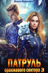 Патруль оранжевого сектора – 3