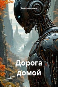 Дорога домой