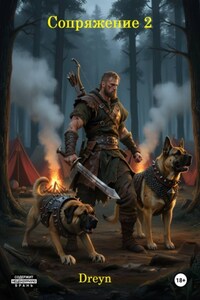 Сопряжение 2