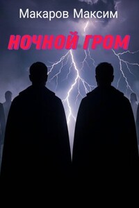 Ночной гром