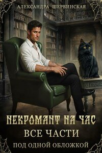 Некромант на час