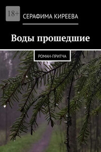 Воды прошедшие. Роман-притча