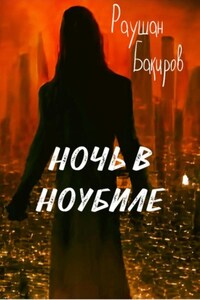 Ночь в Ноубиле